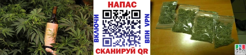 Canna-Cookies конопля  Черноголовка 