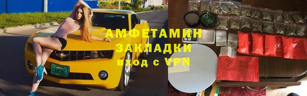 гидра Володарск
