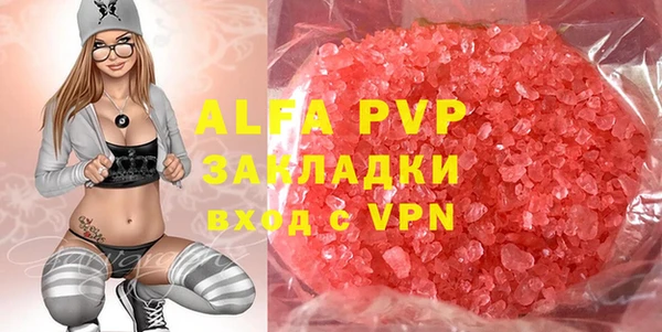 гидра Володарск
