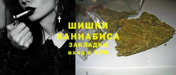 гидра Володарск