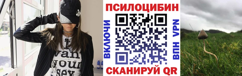 Галлюциногенные грибы Magic Shrooms  Черноголовка 